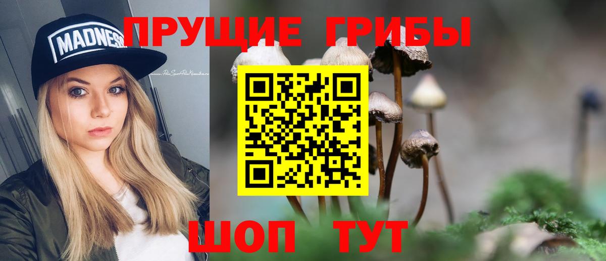 Псилоцибиновые грибы GOLDEN TEACHER Людиново